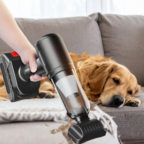 Aspirateur Voiture VacVolt chien