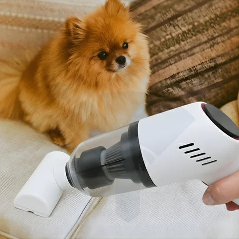 Aspirateur de Voiture | WhiteAurea™ - Chayl Clean