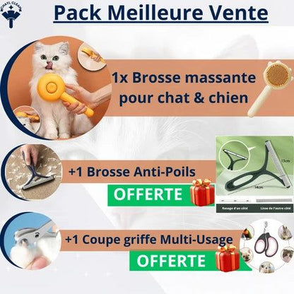 BROSSE POUR CHIEN & CHAT | CHAYLBRUSH™ - Chayl Clean